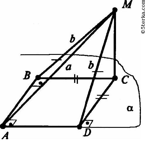 51 51
