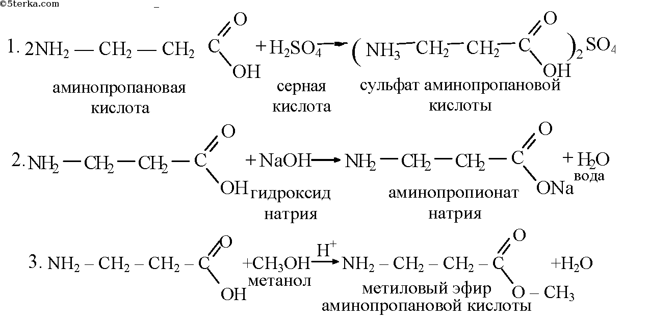 Гидроксид натрия реагирует с аминоуксусной кислотой. Альфа аминопропионовая кислота с метанолом. Взаимодействие глицина с серной кислотой. Альфа аминопропионовая кислота плюс соляная кислота. Реакции аминопропионовой кислоты.