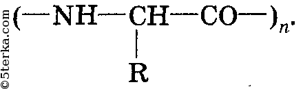 Амин полимер. Гидролизация белка. Гидролиз белка формула. Общая формула белков. Гидролиз белков формула.