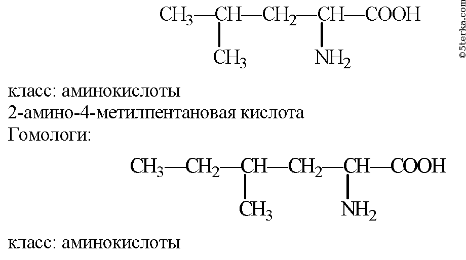 Гомологами аланина являются. 2-Амино-3-метилпентановой кислоты. 2-Амино-4-метилпентановой кислоты. 2 Амино 4 метилпентановая кислота. 2-Амино-3-метилпентановая кислота изомеры.