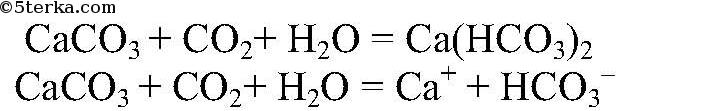 Гидрокарбонат свинца формула. Гидрокорбонаткальция формула. Гидрокарбонат кальция формула. Получение гидрокарбоната кальция. Как получить гидрокарбонат кальция.