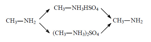 Диметиламин гидроксид калия. Метиламин серная кислота уравнение. Этиламин с серной кислотой реакция. Этиламин плюс серная кислота. Диметиламин плюс серная кислота.
